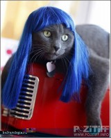 /album/fotogaljerjeja/a298474bc89ec78a1c8-jpg/