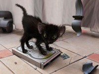 /album/fotogaljerjeja/a298474bc840982c84e-jpg/