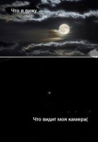 /album/fotogaljerjeja/smeshnie-kartinki-1369223276220520131413-jpg/