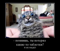 /album/fotogaljerjeja/smeshnie-kartinki-1369762253280520131743-jpg/