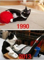 /album/fotogaljerjeja/smeshnie-kartinki-1369762254280520131663-jpg/