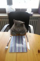 /album/fotogaljerjeja/smeshnie-kartinki-136983790229052013433-jpg/