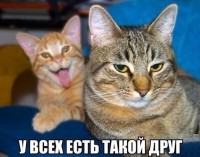 /album/fotogaljerjeja/smeshnie-kartinki-136984104429052013692-jpg/